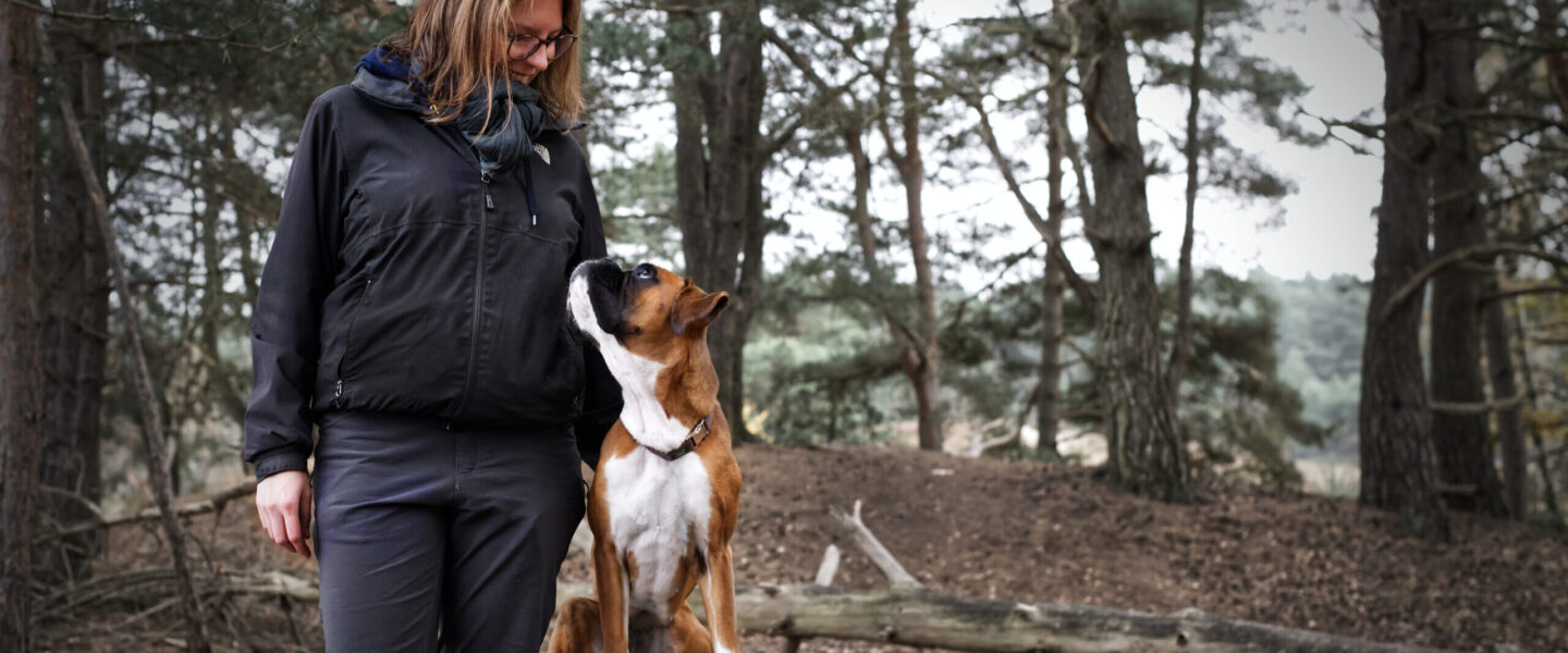 Headbilder: Hundeführerin gemeinsam mit ihrer Boxerhündin